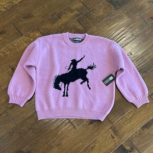 Western Charm Pink Sweater